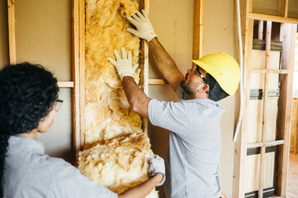 Best Attic Insulation Installation  in Elizabeth, NJ